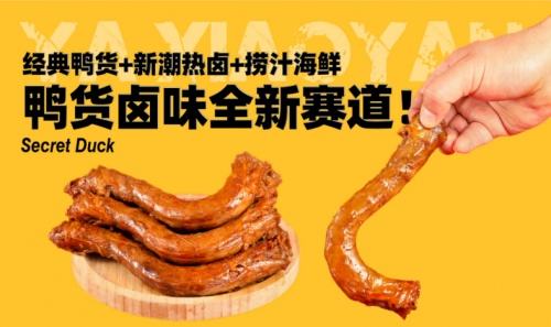 餐饮创业选项目 鸭小言秘制鸭货商业项目分析