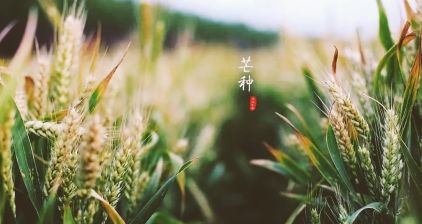 QQ图片20230831235656.jpg