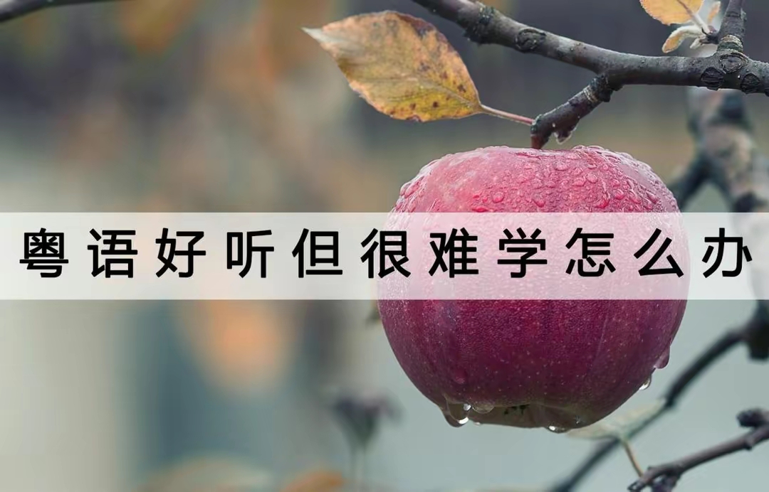 QQ图片20231016232806.jpg