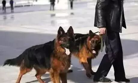QQ图片20231020002715.jpg