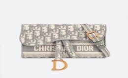 Dior 2021秋冬新款细长款马鞍手拿包