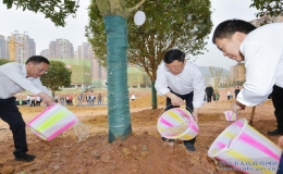 巴中市2022年春季义务植树活动