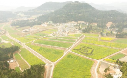 首届“田园恩阳·海山情园”油菜花节