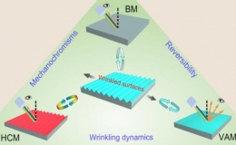 科研人员在褶皱调控与力致变色领域取得新进展