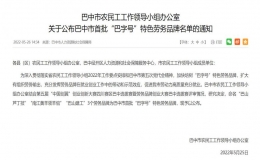 巴中市公布首批“巴字号”特色劳务品牌名单