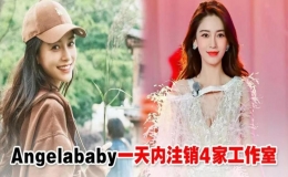 杨颖在同一天注销四家工作室