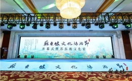 第二届中国（杭州）苏东坡文化旅游节开幕