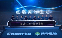 苏宁易