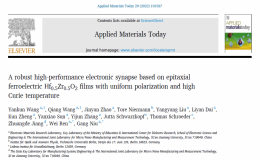 铁电氧化铪基隧道结人工神经突触方面取得新进展