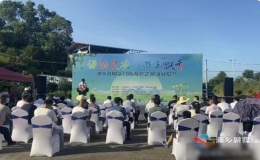 湘乡市首届乡村旅游节之“绿韵泉塘 白玉飘香”主题丝瓜节