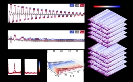 超导系统中首次实验实现了拓扑时间晶体的全数字化量子模拟