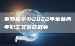 奉新县举办2022年全县青年职工交友联谊会