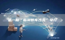 第一期“临湖智库沙龙”举行