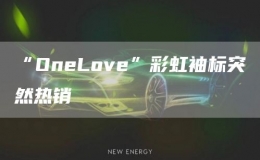 “OneLove”彩虹袖标突然热销