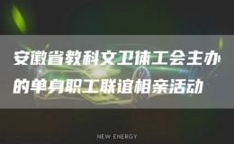 安徽省教科文卫体工会主办的单身职工联谊相亲活动