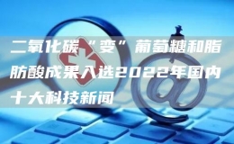 二氧化碳“变”葡萄糖和脂肪酸成果入选2022年国内十大科技新闻