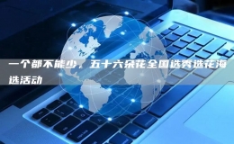 一个都不能少，五十六朵花全国选秀选花海选活动