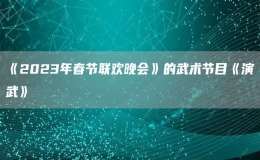 《2023年春节联欢晚会》的武术节目《演武》