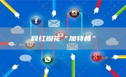 网红烟花“加特林”