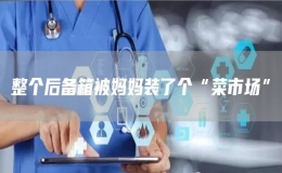 整个后备箱被妈妈装了个“菜市场”