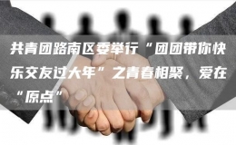 共青团路南区委举行“团团带你快乐交友过大年”之青春相聚，爱在“原点”