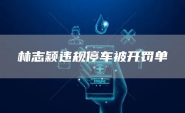  林志颖违规停车被开罚单