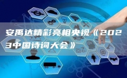 安禹达精彩亮相央视《2023中国诗词大会》