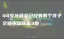 44岁孙燕姿已经有两个孩子又被怀疑怀第3胎