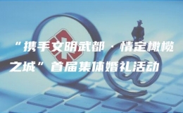 “携手文明武都·情定橄榄之城”首届集体婚礼活动