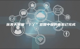 ​旅美大熊猫“丫丫”返回中国的审批已完成