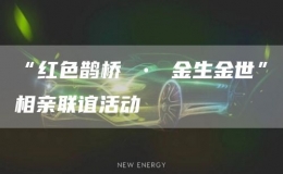 “红色鹊桥 • 金生金世”相亲联谊活动