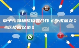 章子怡和杨紫琼曾合作《卧虎藏龙》《艺伎回忆录》