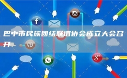 巴中市民族团结联谊协会成立大会召开