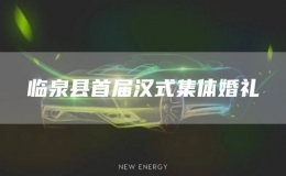 临泉县首届汉式集体婚礼