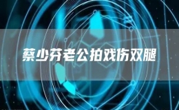 蔡少芬老公拍戏伤双腿