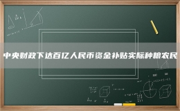 中央财政下达百亿人民币资金补贴实际种粮农民