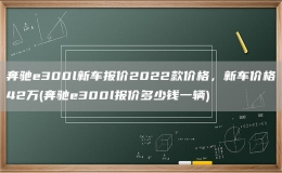 奔驰e300l新车报价2022款价格，新车价格42万(奔驰e300l报价多少钱一