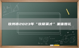 钦州市2023年“钦聚英才”集体婚礼