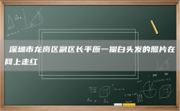 ​深圳市龙岗区副区长平原一撮白头发的照片在网上走红