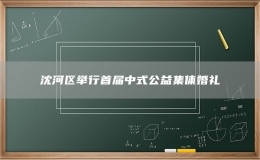 沈河区举行首届中式公益集体婚礼