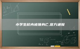  小学生校内被撞身亡,官方通报