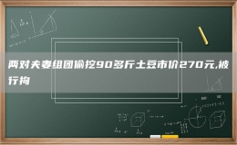 两对夫妻组团偷挖90多斤土豆市价270元,被行拘