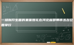 一场别开生面的集体婚礼在河北省邯郸市丛台公园举行