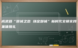 成武县“倾城之恋 缘定郜城”新时代文明实践集体婚礼
