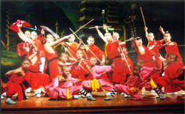 广东十虎武功排名顺序（广东十虎真实存在吗）