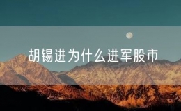 胡锡进为什么进军股市