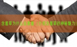 含羞草为什么会害羞（介绍含羞草的神秘魅力）