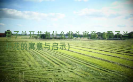 君子兰开花有什么兆头寓意（君子兰开花的寓意与启示）