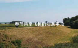 春节乘坐飞机的注意事项（春节出行安全提示）