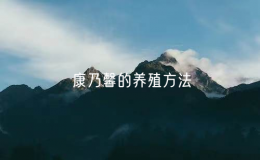 康乃馨的养殖方法（简述康乃馨的栽培技术）
